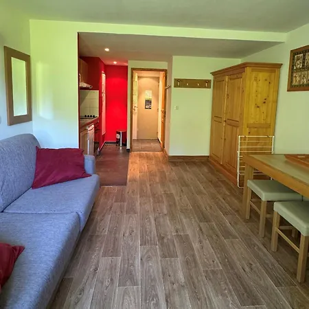 Aux Pieds Avec Piscine Chauffee, Wifi Et Animaux Admis - Fr-1-181-2822 Appartement La Plagne-Tarentaise